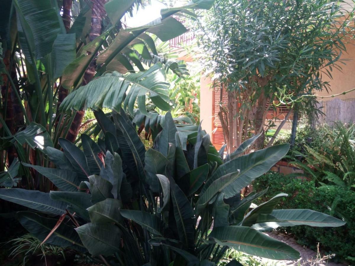 Stanza In Villa Con Giardino Vista Mare 체팔루 외부 사진