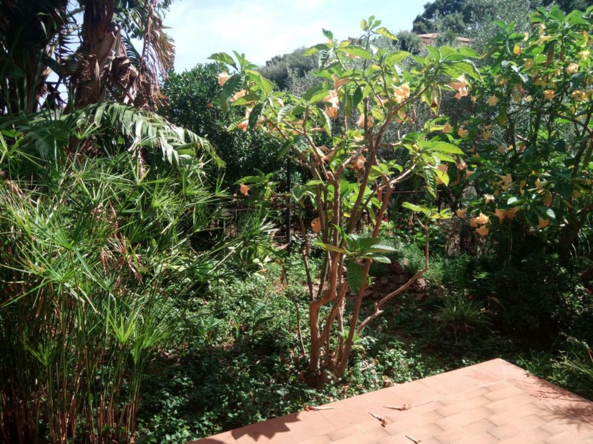 Stanza In Villa Con Giardino Vista Mare 체팔루 외부 사진