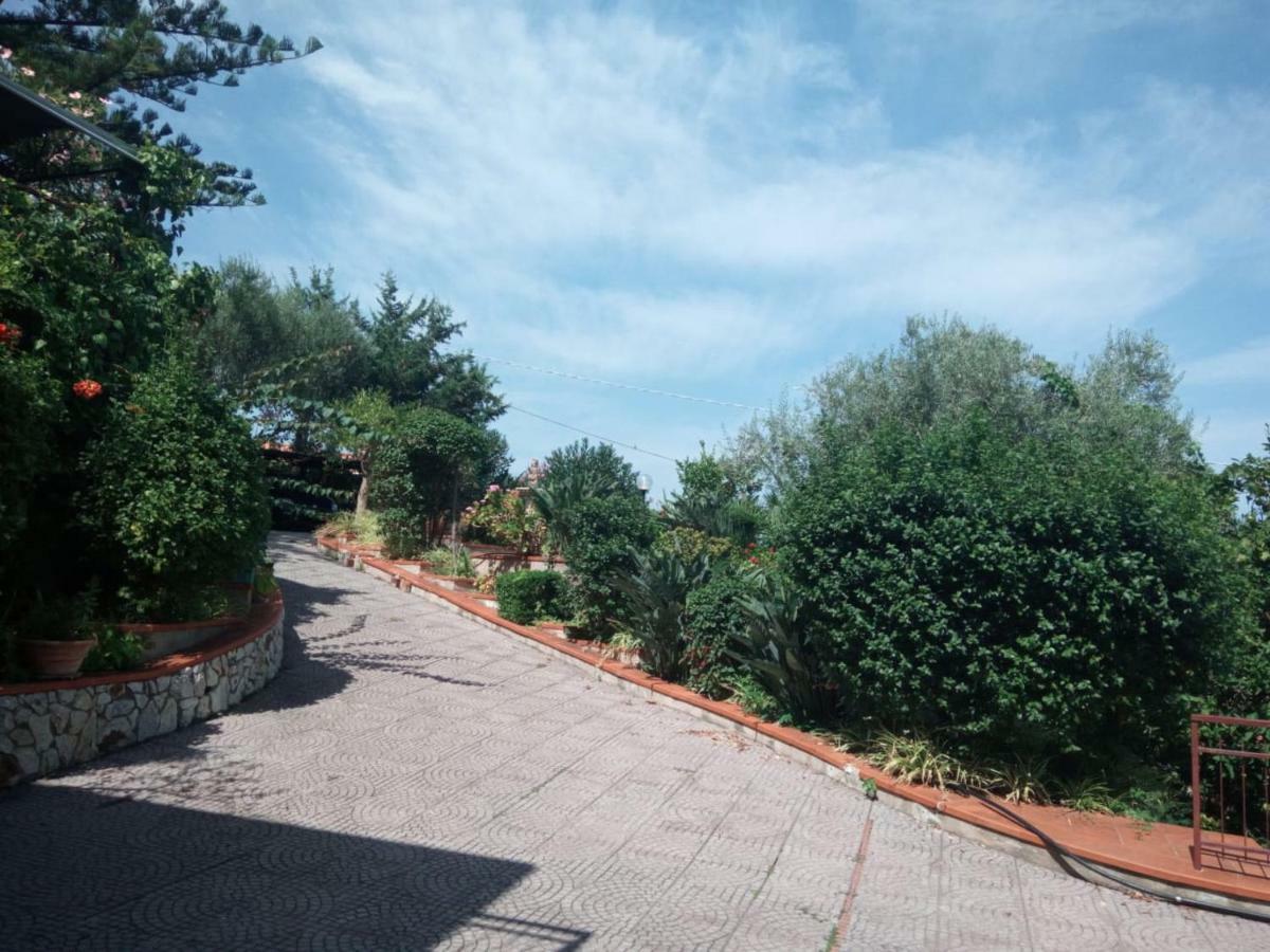 Stanza In Villa Con Giardino Vista Mare 체팔루 외부 사진